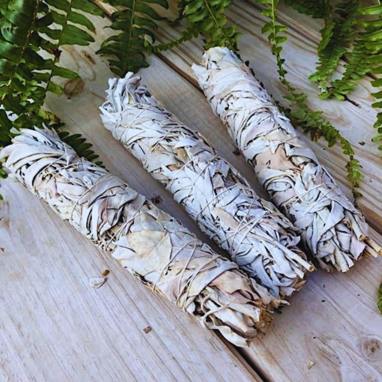 Three white sage smudge bundles on wood with ferns, for Native art and traditional craft supplies