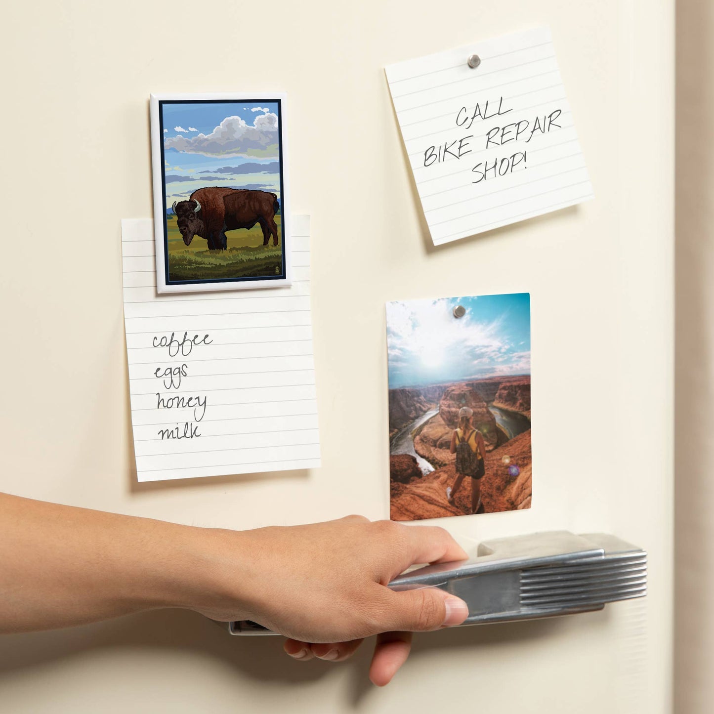 Bison in Field: Magnet