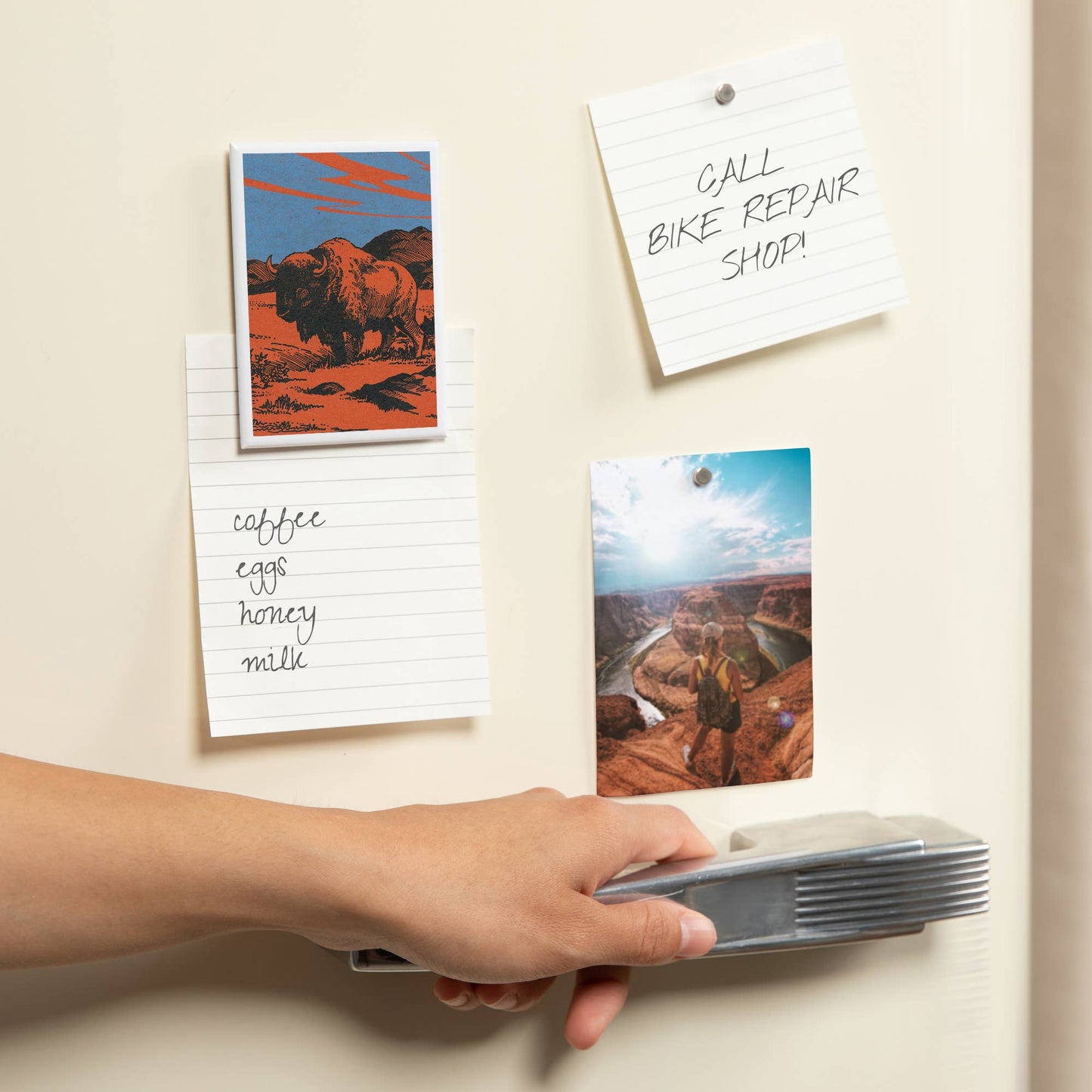 View of a Bison on the Prairie, Vintage: Magnet