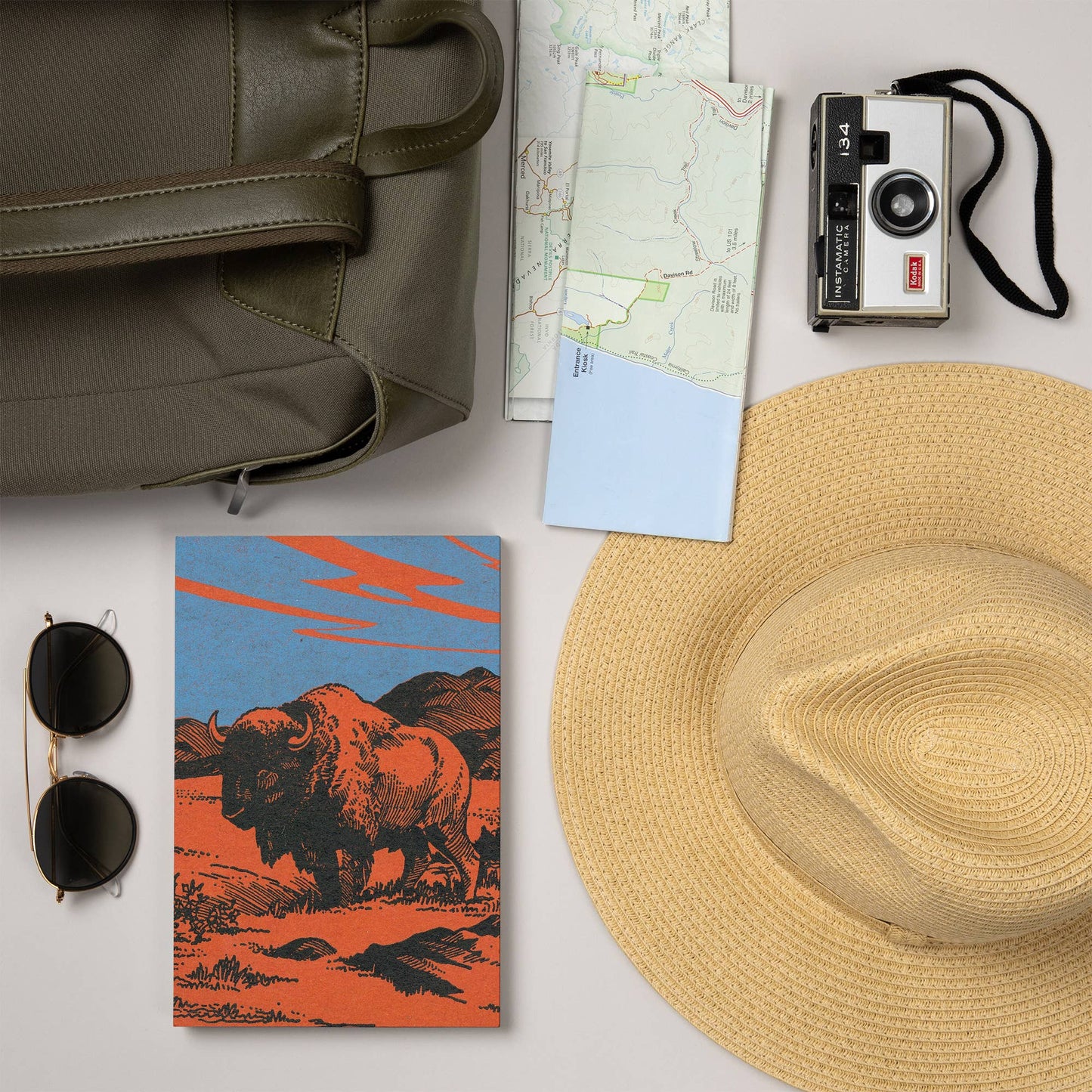 JOURNAL View of a Bison on the Prairie, Vintage