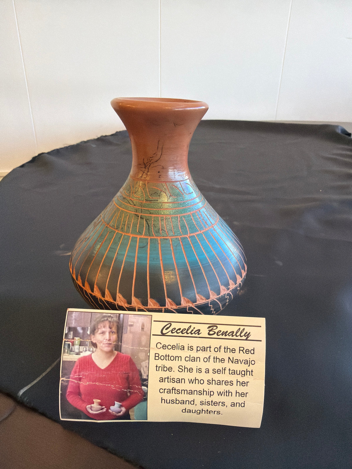 Horsehair Pottery - Cecelia B. (Navajo)