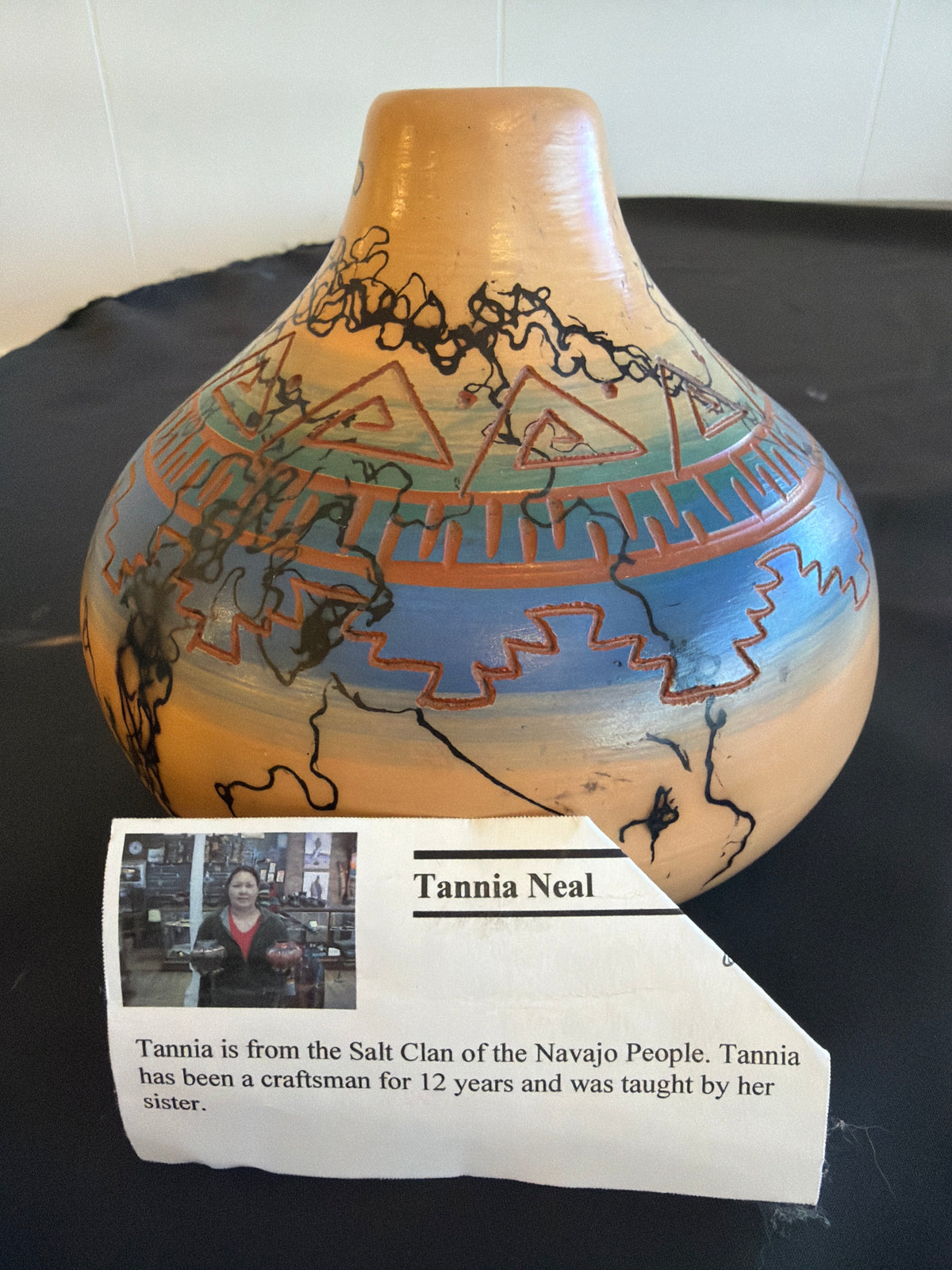 Horsehair Pottery - Tania N. (Navajo)