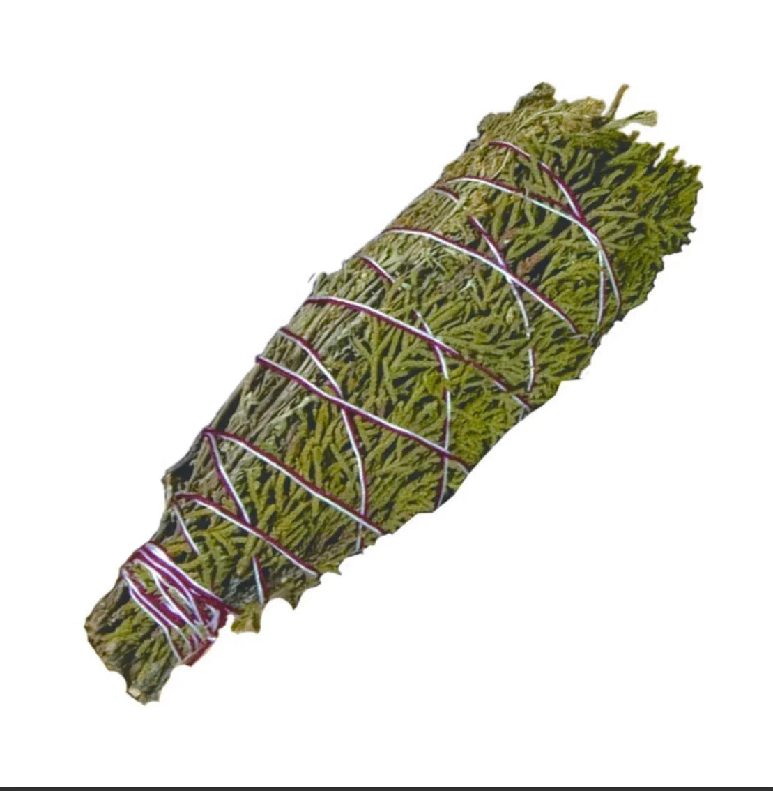 Dried sage bundle tied with red and white string for smudging and Native crafts