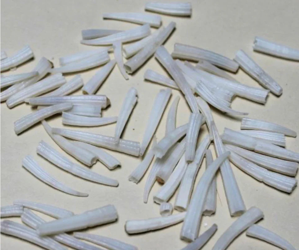 White bone beads for Native American crafts and traditional jewelry making