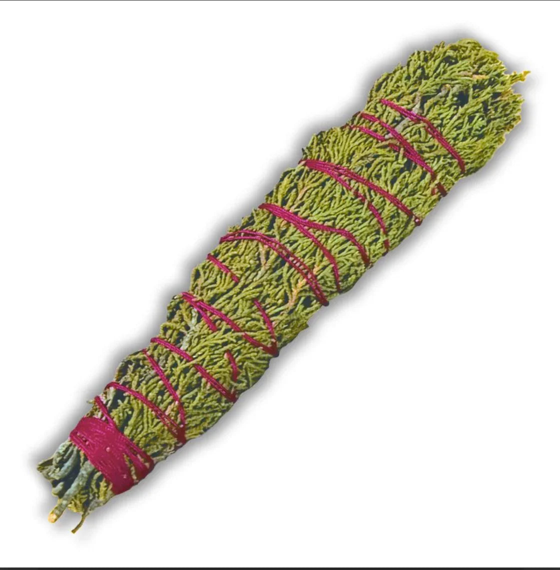 Dried cedar smudge bundle tied with red string for Native American ceremonial use