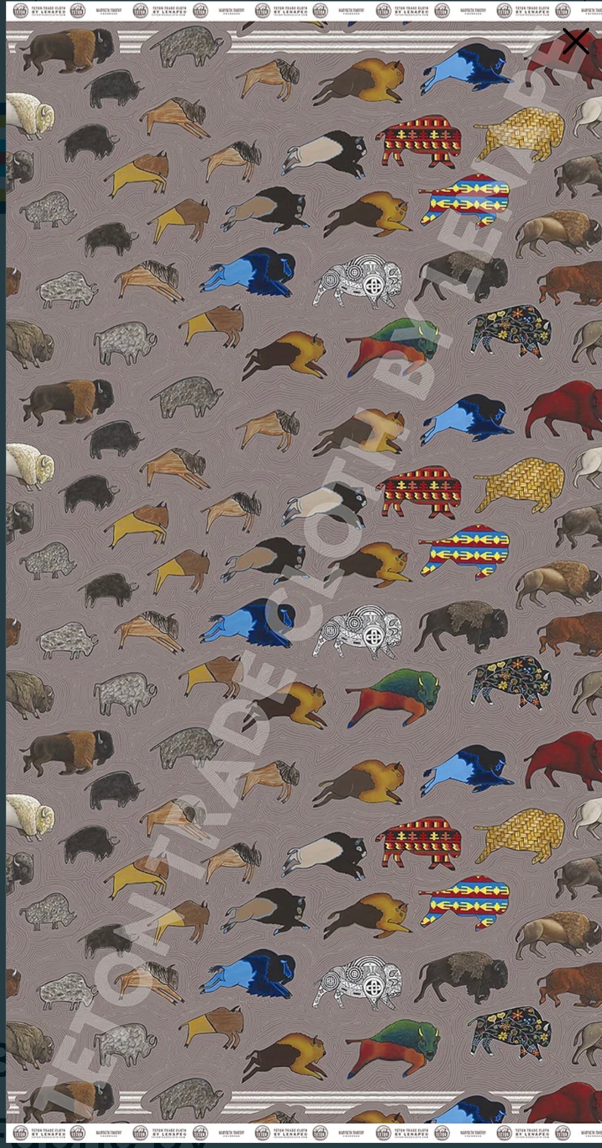 Teton Cotton Fabric By the Yard