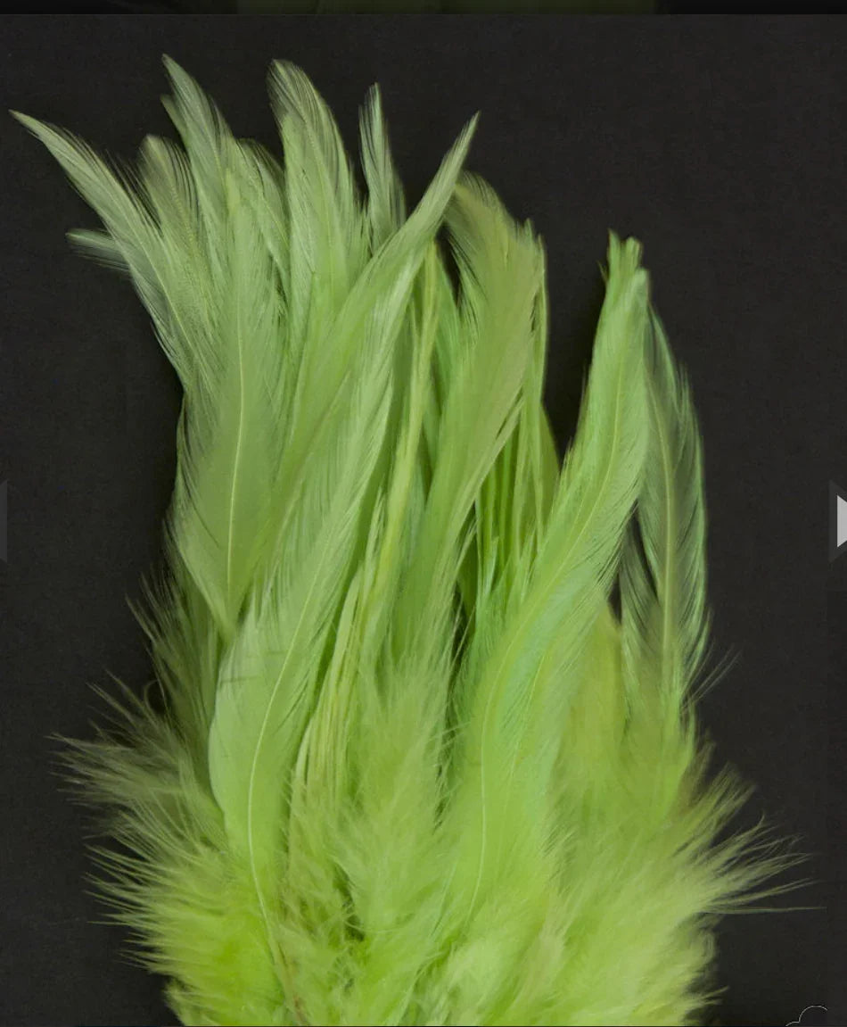 Bright lime green craft feathers for Native American art and traditional clothing projects