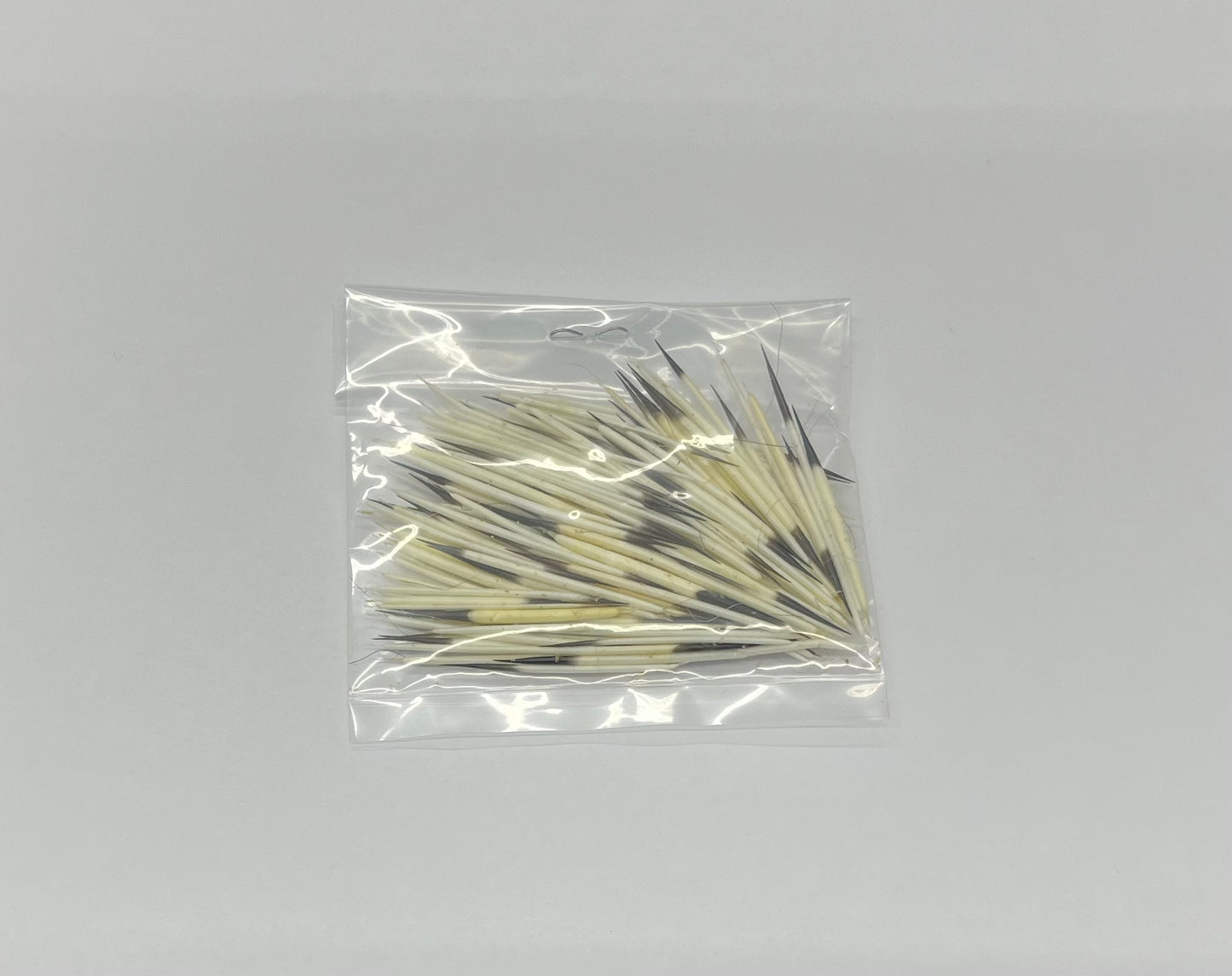 Porcupine Quills, Natural No Fur