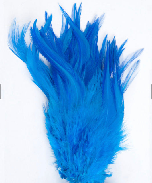Turquoise Hackles