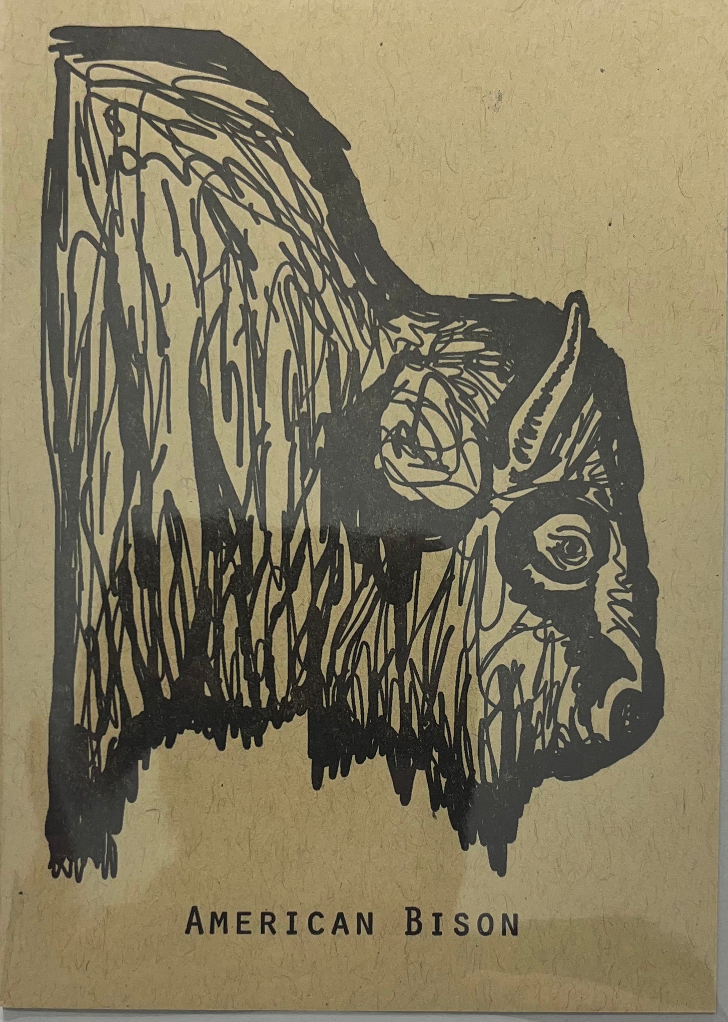 American Bison Greeting Card