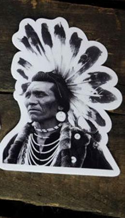 NTVS Vintage Sticker; Chief Eagle