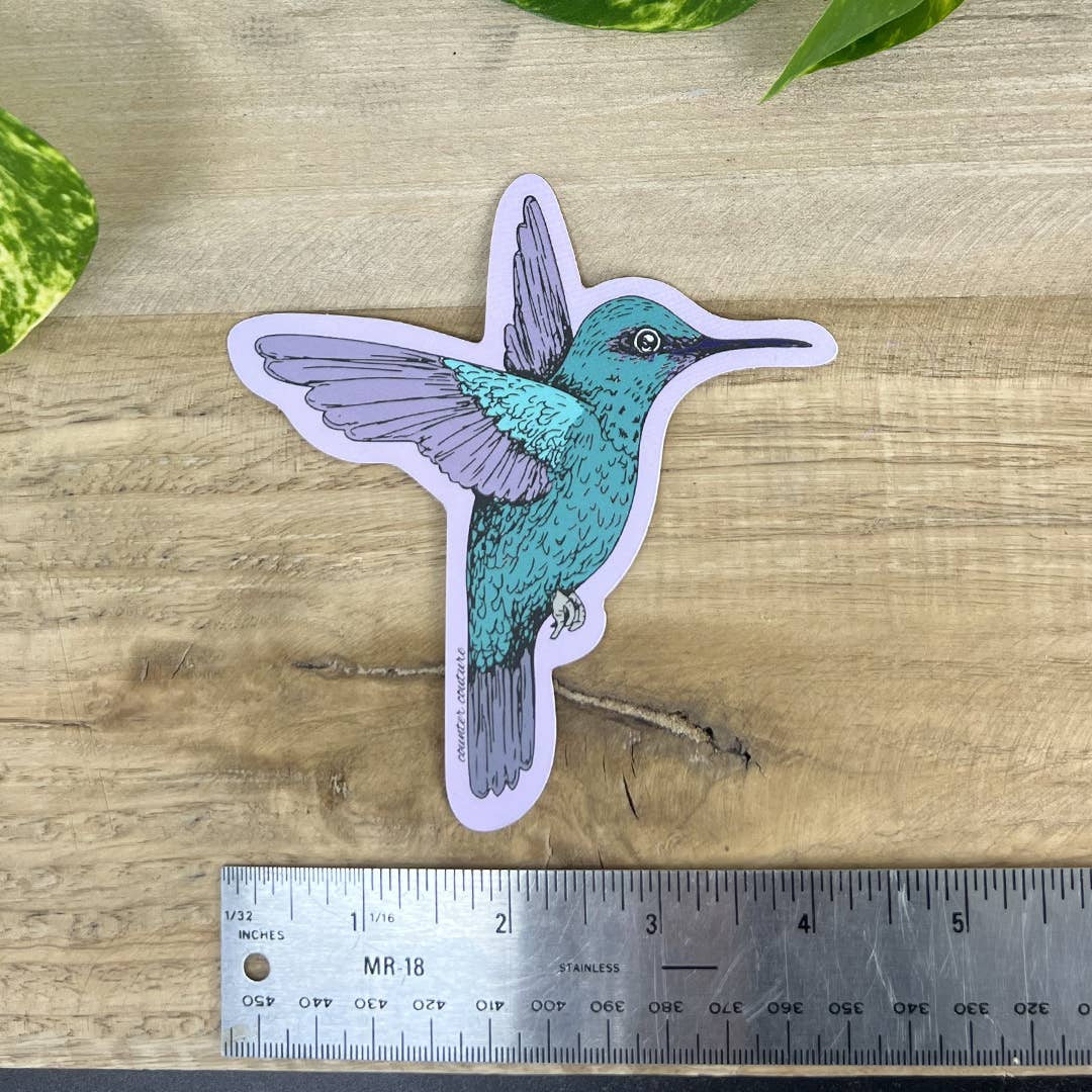 Hummingbird Sticker | Audubon | Decals | Gifts