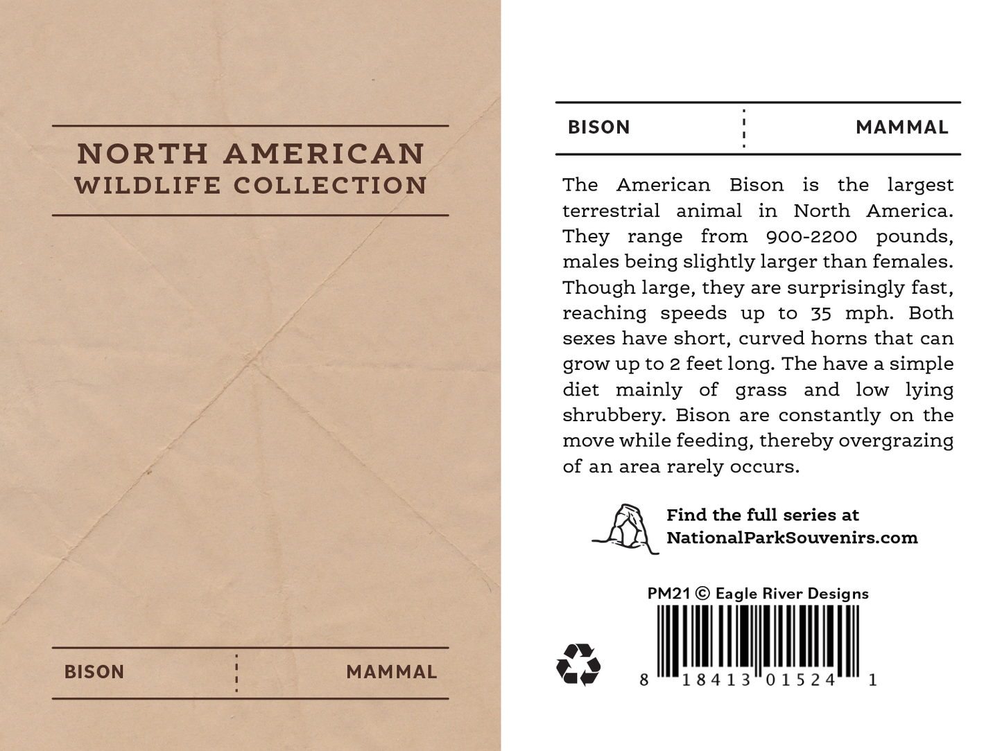 American Bison Pin