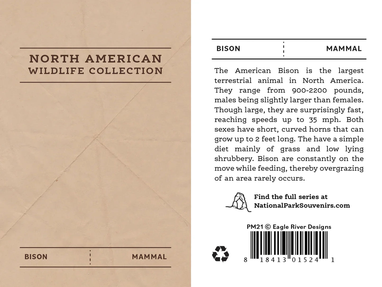 American Bison Pin