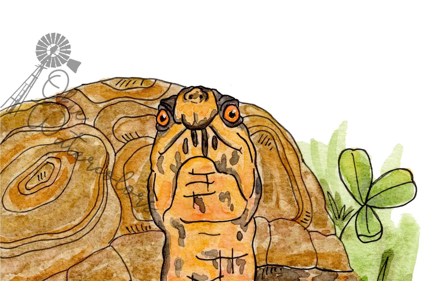 Box Turtle "You're Turtle-Y Awesome." 5x7" Greeting Card