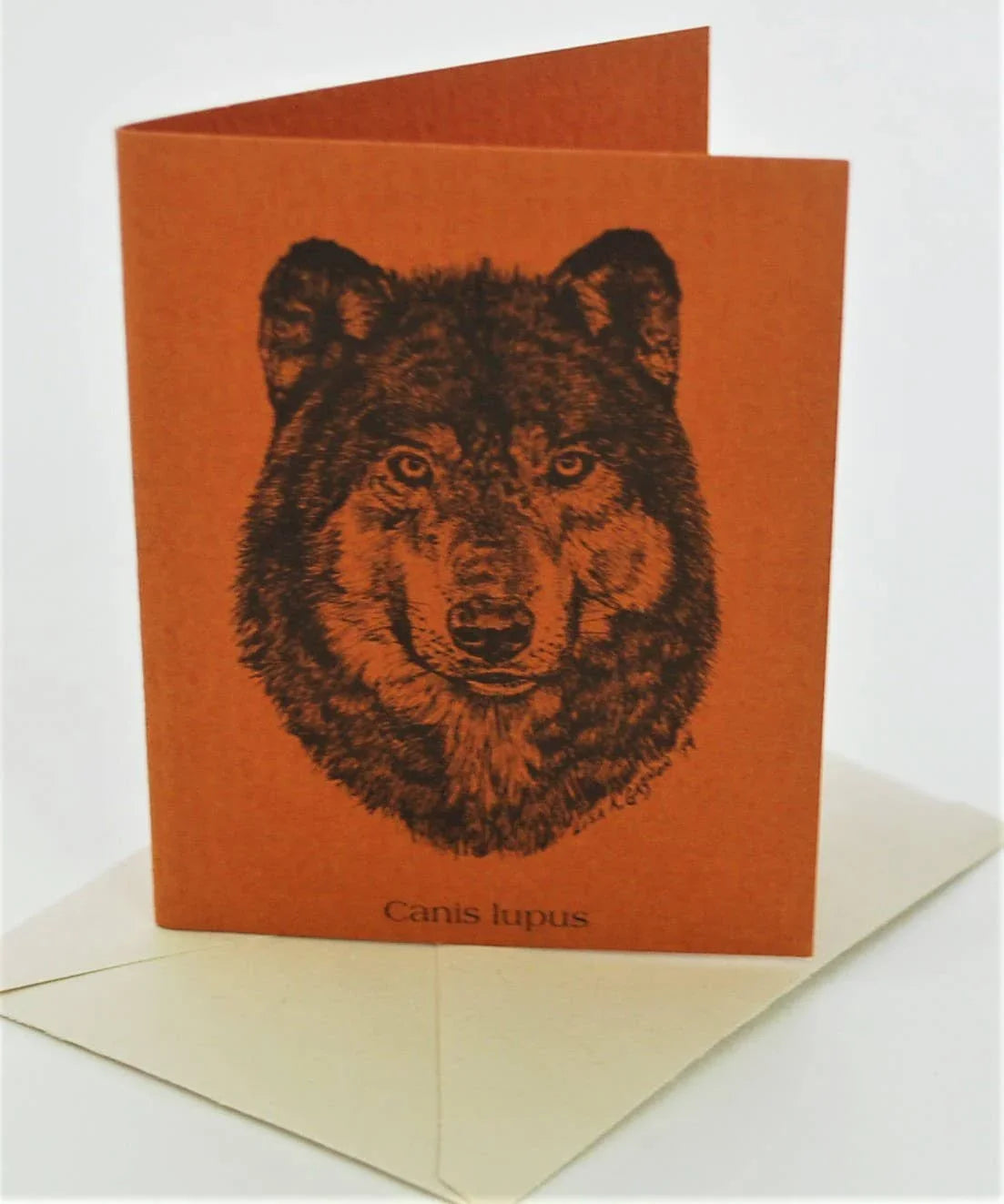 Orange greeting card with detailed wolf illustration, labeled Canis lupus, ideal for Native art enthusiasts