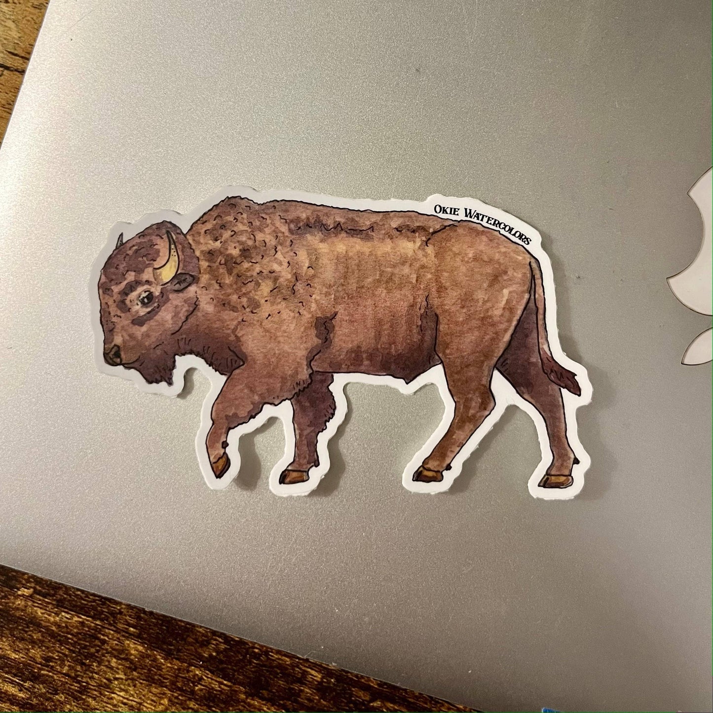 Watercolor bison sticker, Okie Watercolors, Native art supply for crafts and traditional clothing