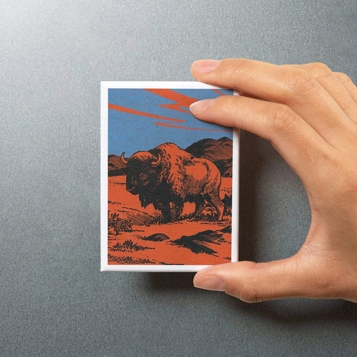 View of a Bison on the Prairie, Vintage: Magnet