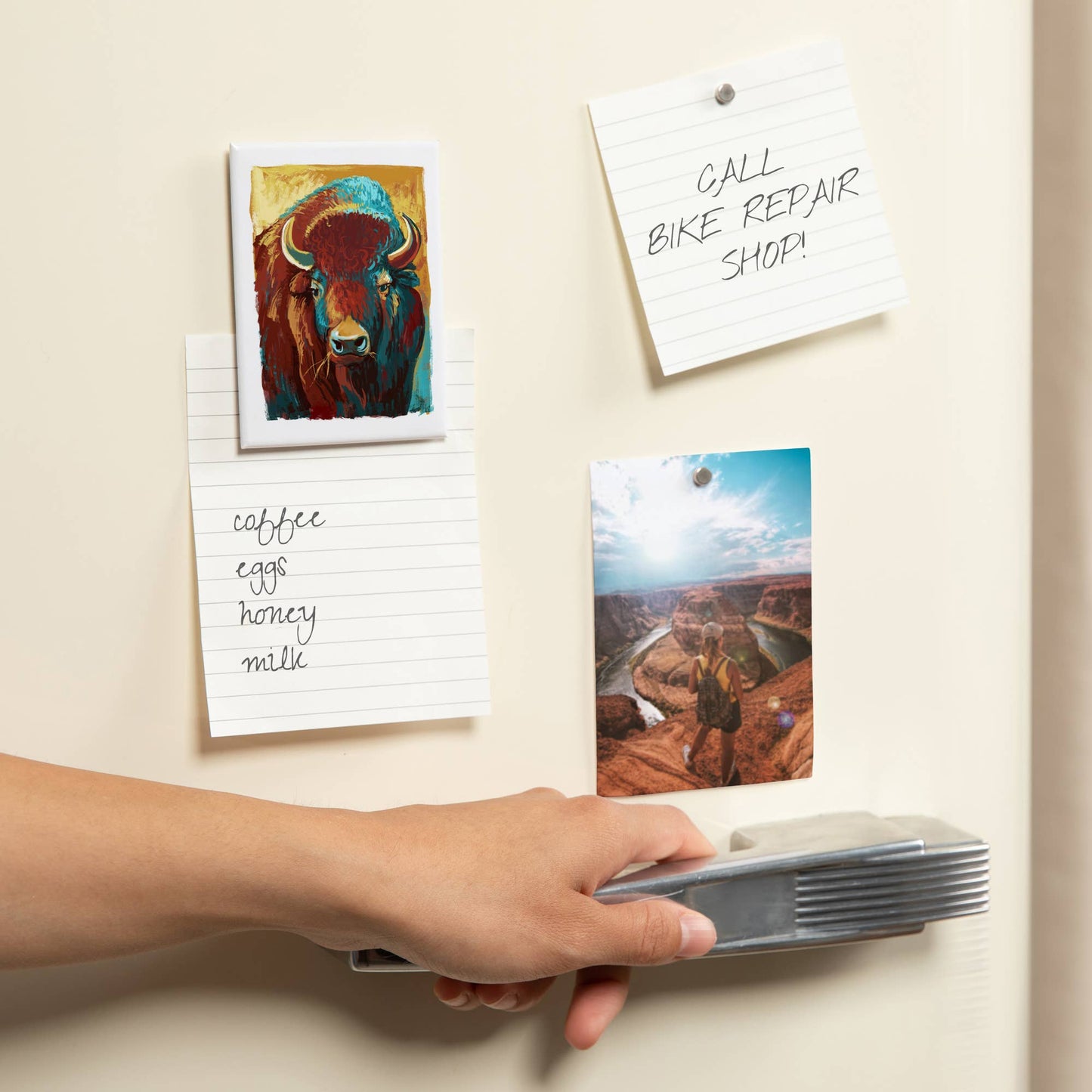 Bison, Vivid: Magnet