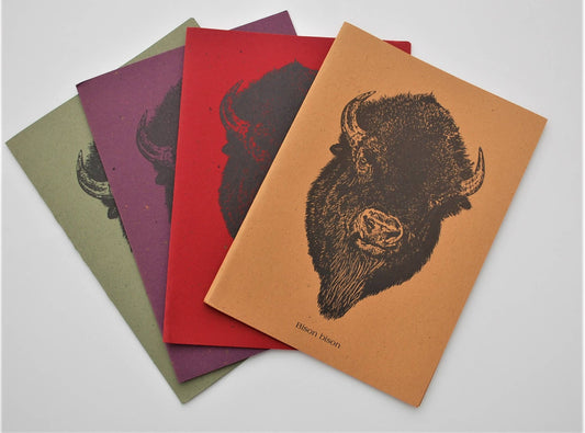 Buffalo Packaged Note Cards - recycled paper