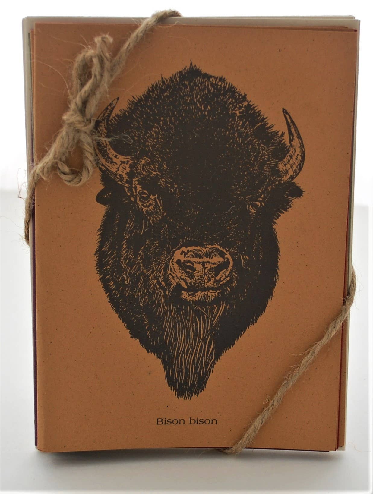 Buffalo Packaged Note Cards - recycled paper