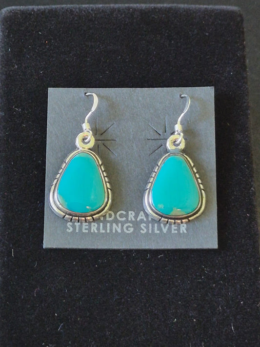 Turquoise & Sterling Silver Earrings