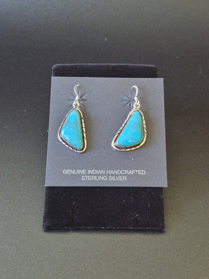 Turquoise & Sterling Silver Earrings
