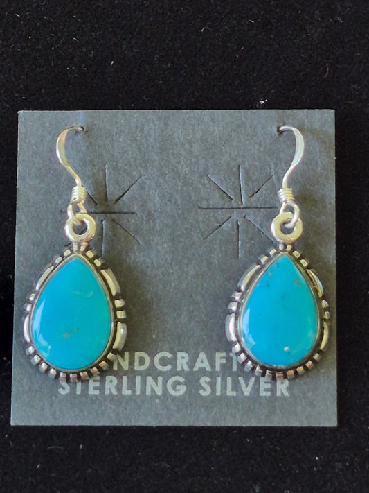 Sterling Silver &Turquoise Earrings