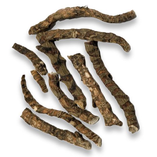 Northern Bitter Root (2/pk)