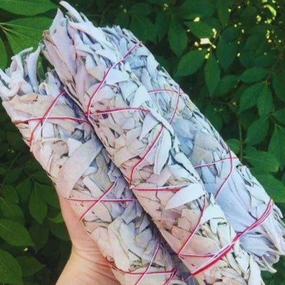 White Sage 9" Smudge Sticks Bundle