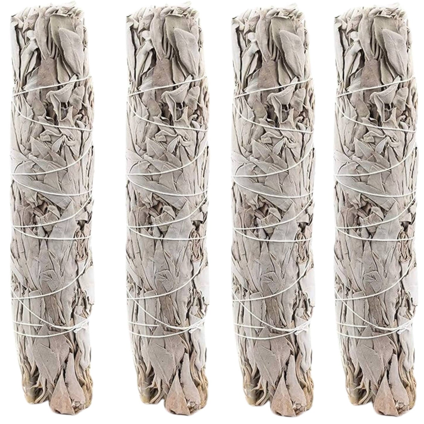 White Sage 9" Smudge Sticks Bundle