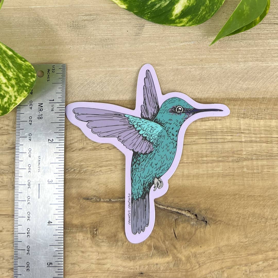 Hummingbird Sticker | Audubon | Decals | Gifts