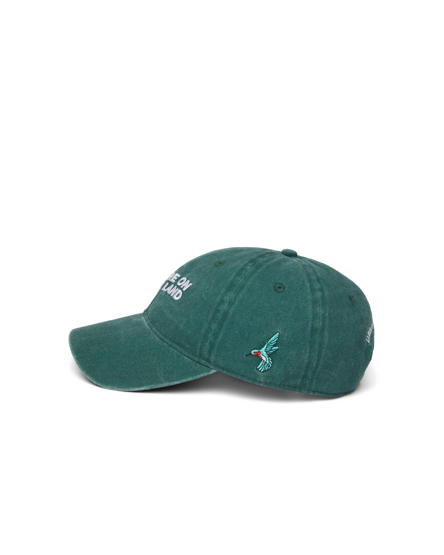 'YOU ARE ON NATIVE LAND' DAD CAP - DARK GREEN