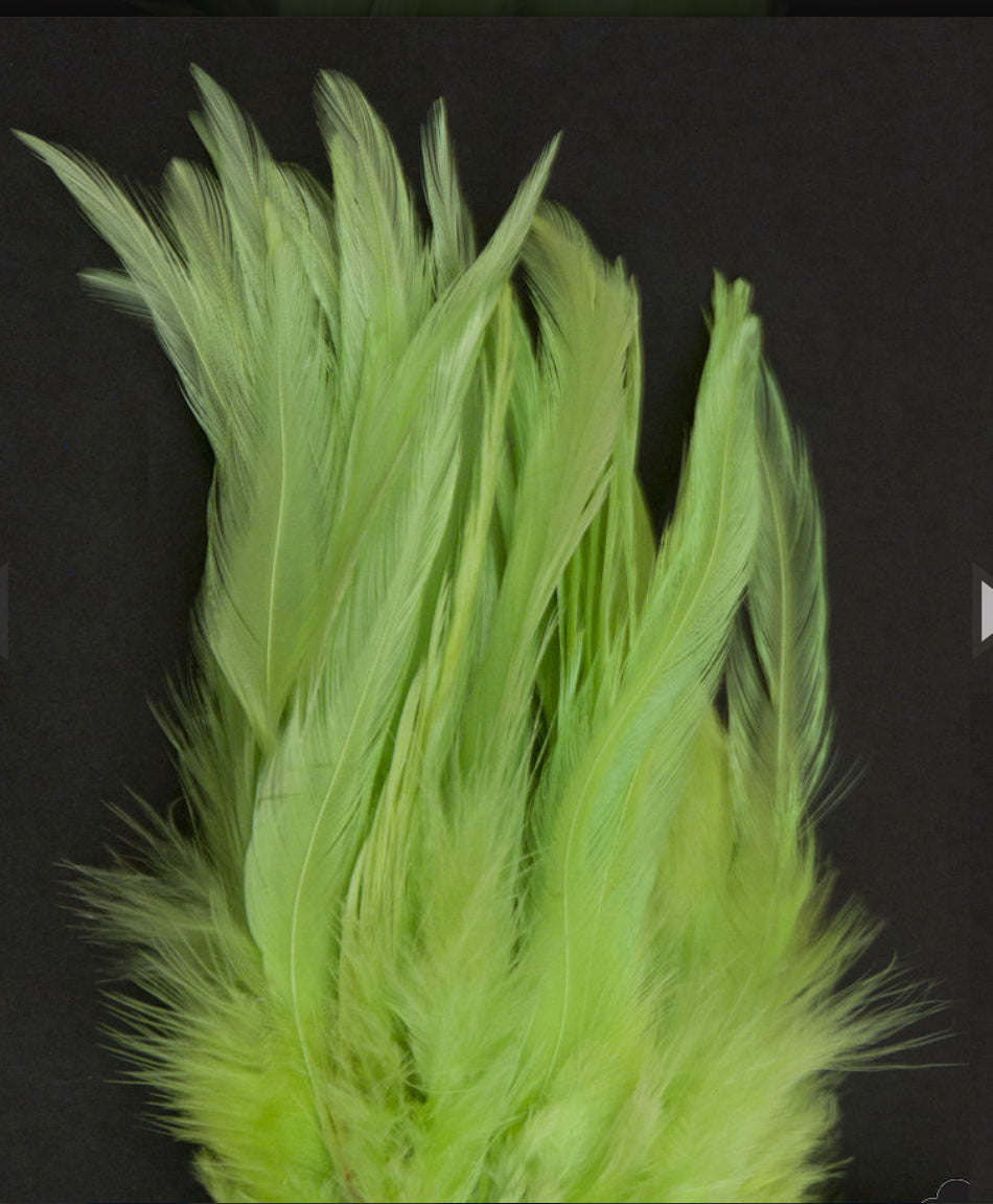 Neon Green Hackles