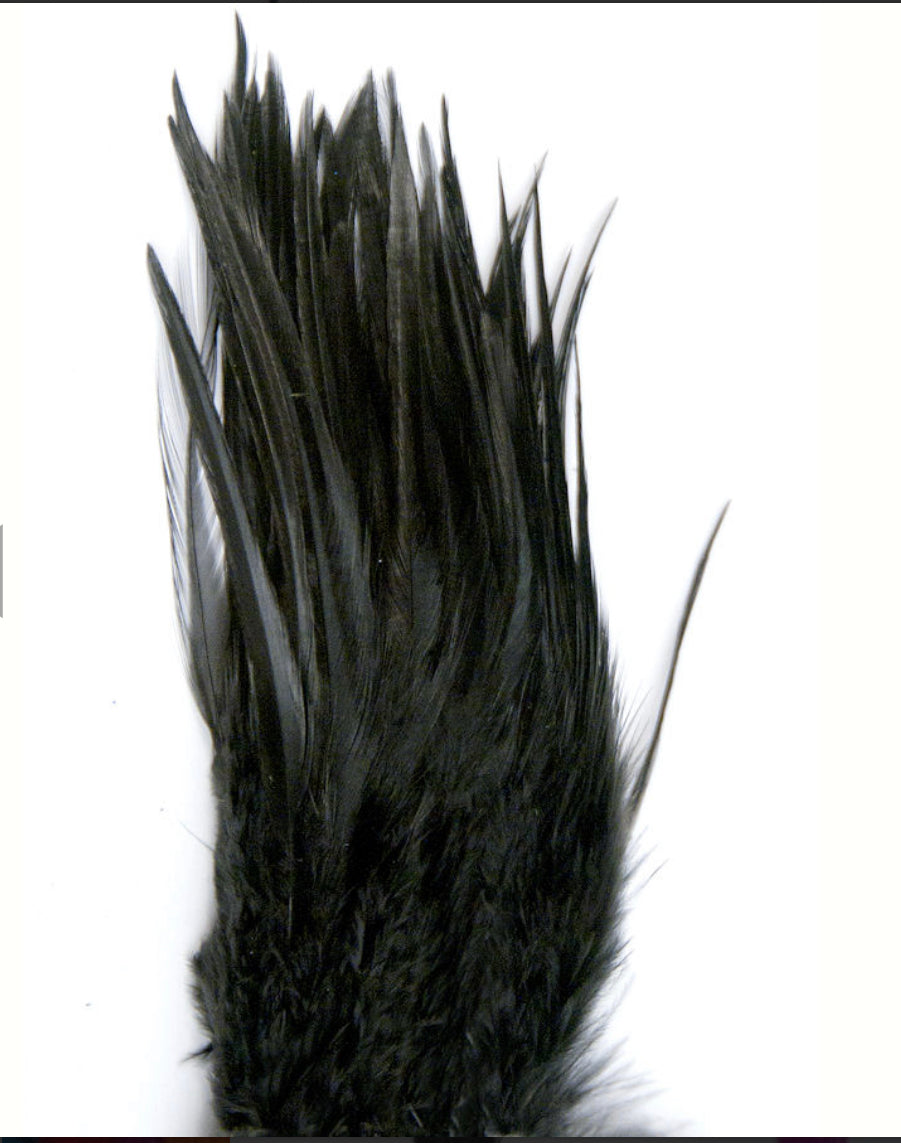 Black Hackles – McKees’s Indian Store