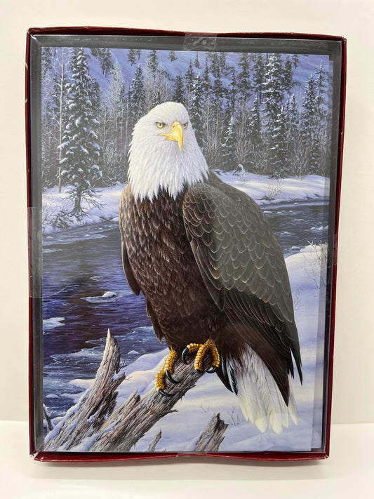 Bald Eagle Boxed Holiday Greeting Card