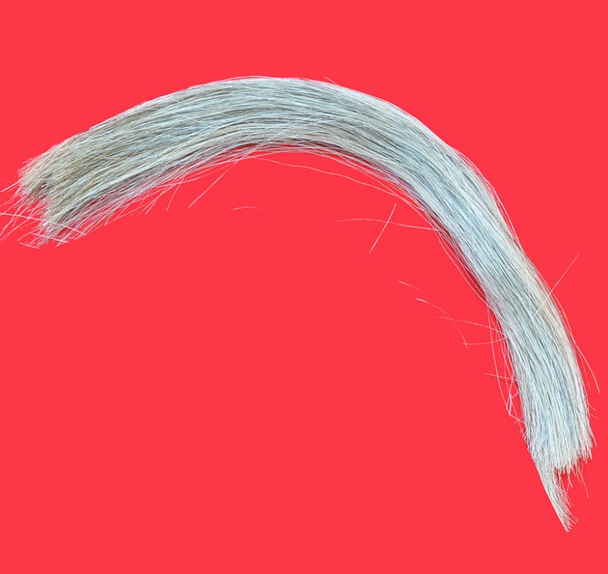 Silver Horse Hair