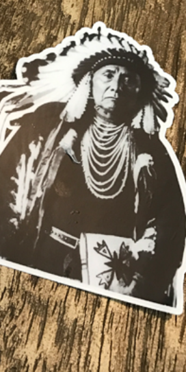 NTVS Vintage Sticker; Chief Joseph