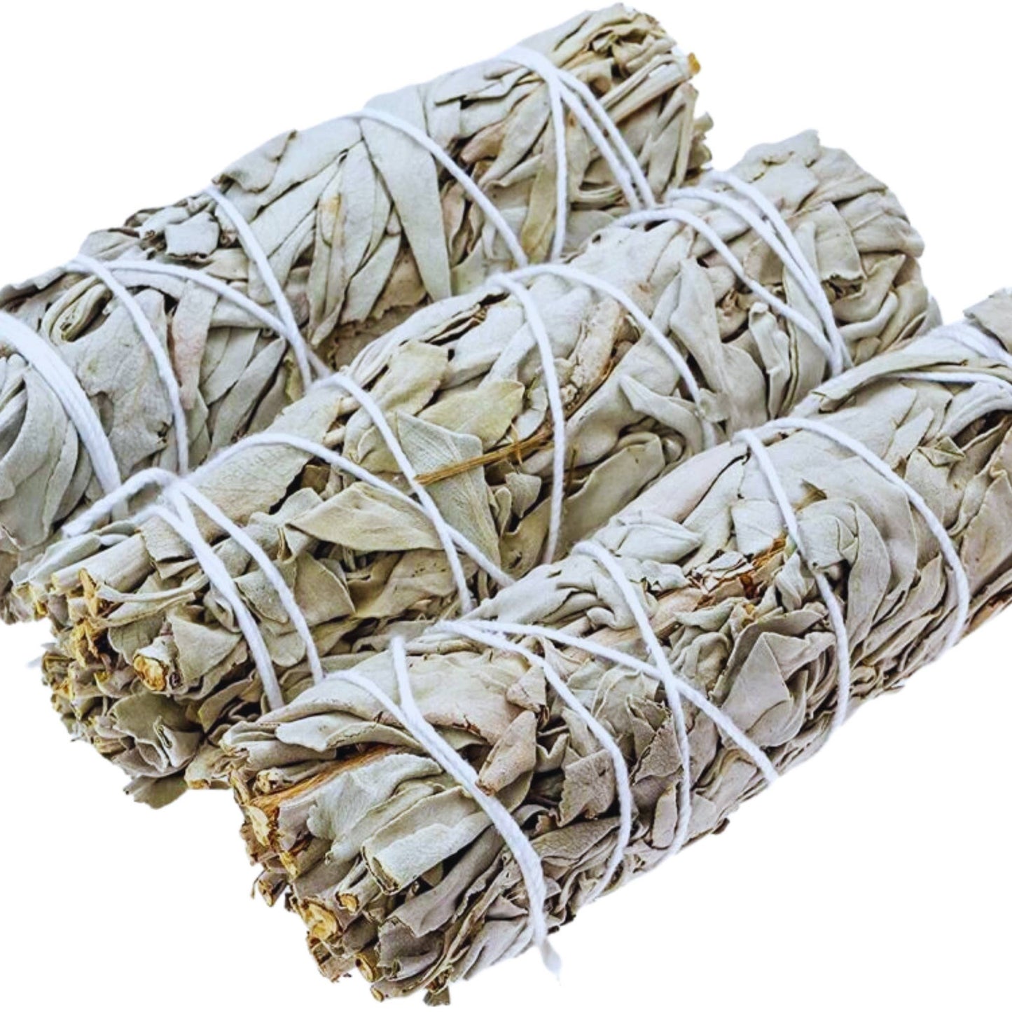 White Sage 9" Smudge Sticks Bundle