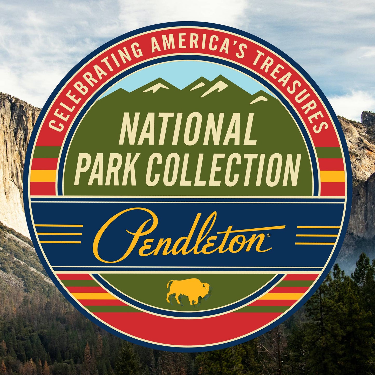 Pendleton  National Park Rectangular cushion Glacier / X-Small