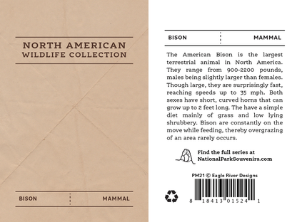 American Bison Pin
