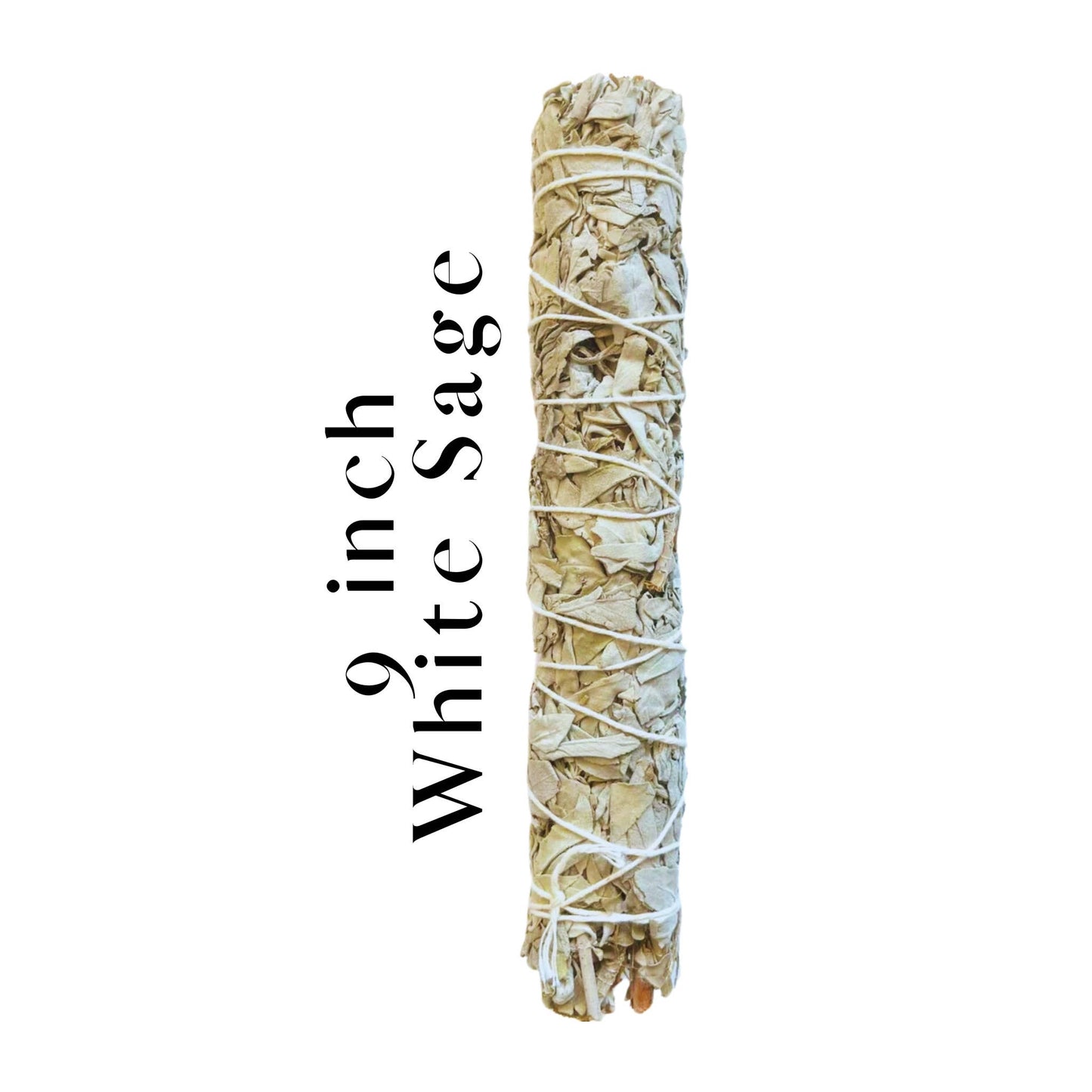 White Sage 9" Smudge Sticks Bundle