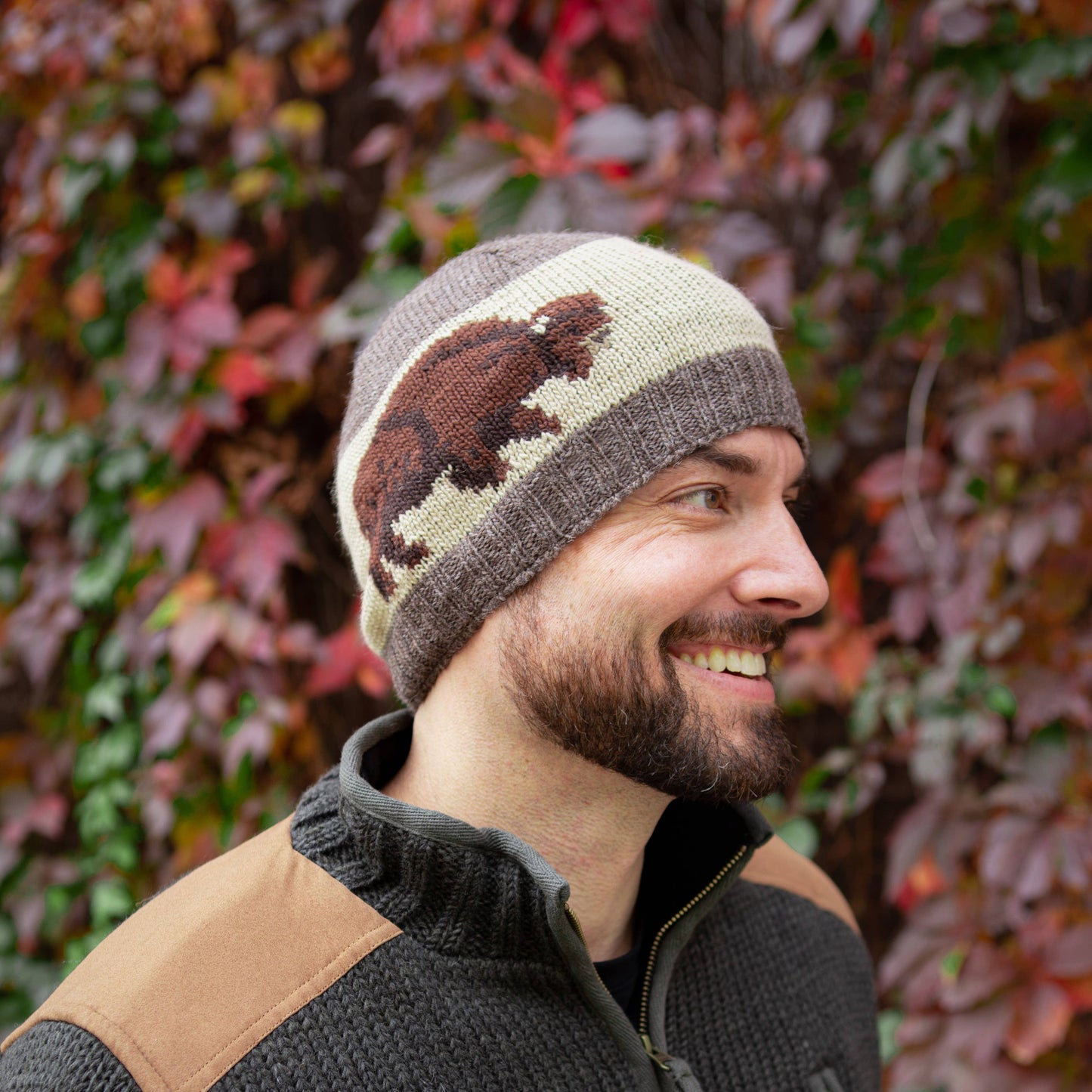 Buffalo - men's wool knit beanie: Stone