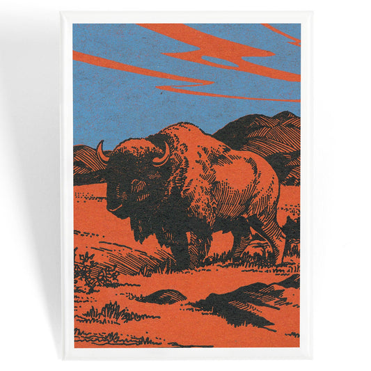 View of a Bison on the Prairie, Vintage: Magnet