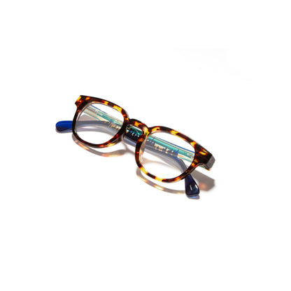 Pendleton Readers - Westerley: Tortoise / Pacific Wonderland: Tortoise - Pacific Wonderland / 2.5x