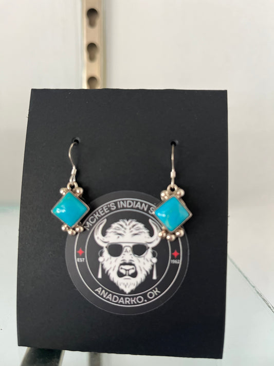 Silver and Turquoise Earrings