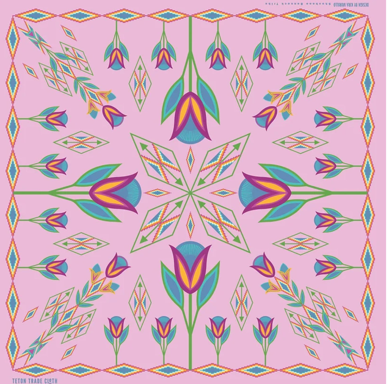 Teton Bandannas by Various Artists