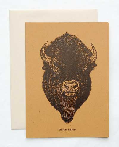 Buffalo Note Card